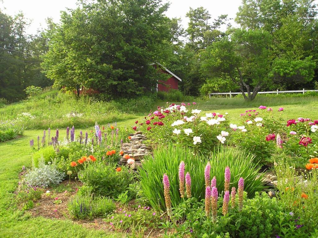 Cooper Hill